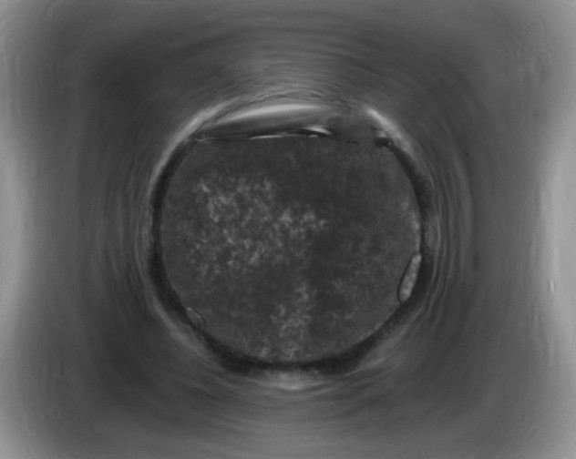 X0000084050540200703092054