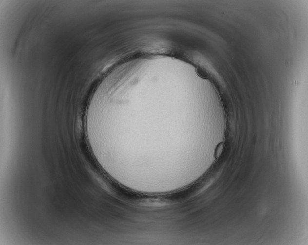 X0000084050541200703092054