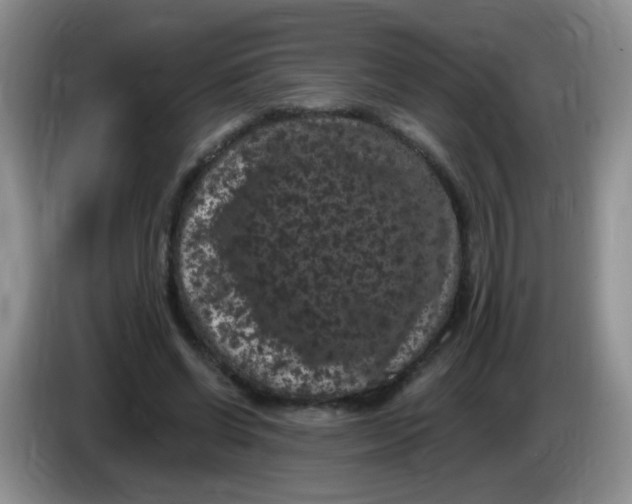 X0000084050542200703092054