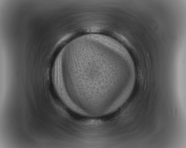 X0000084050543200703092054