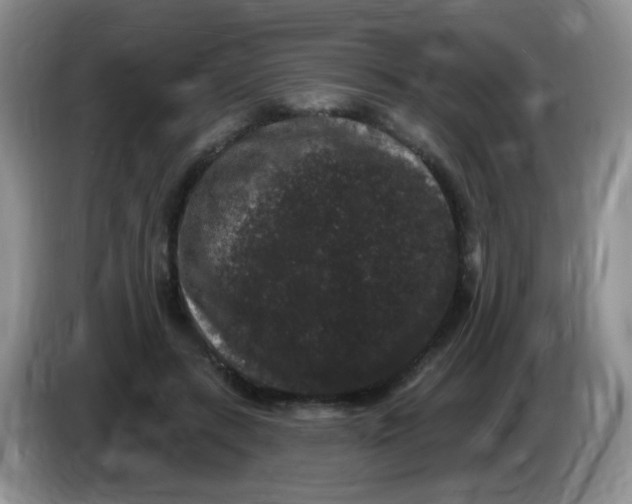 X0000084050547200703092054