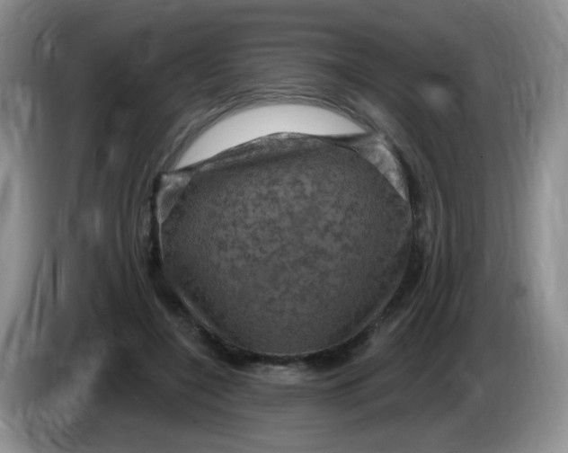 X0000084050548200703092054