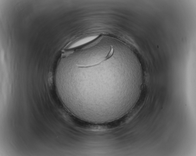 X0000084050549200703092054