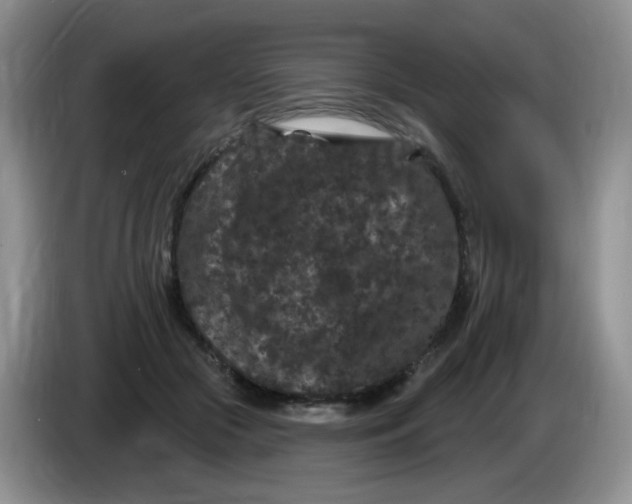 X0000084050553200703092054