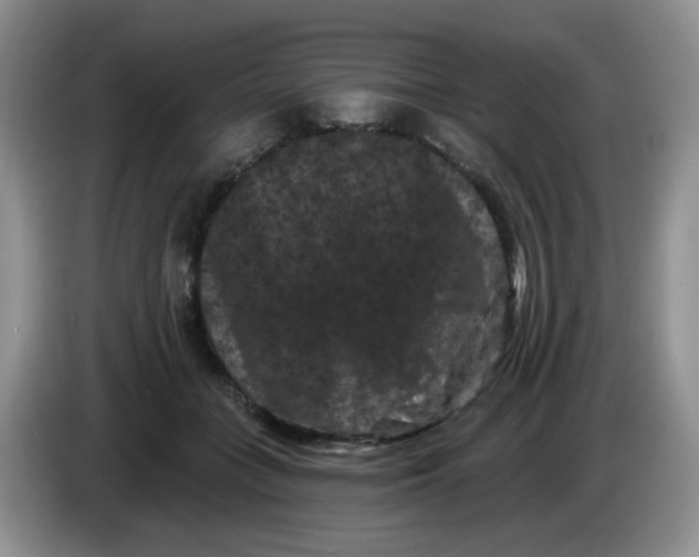 X0000084050555200703092054