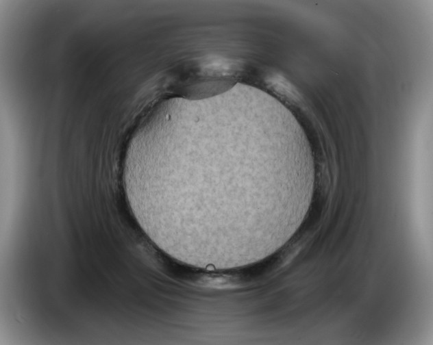 X0000084050557200703092054