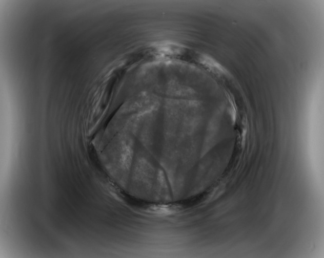 X0000084050558200703092054