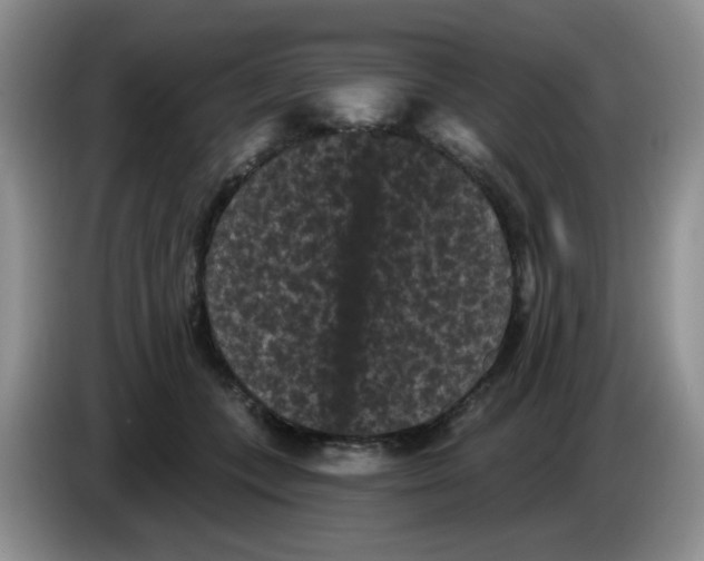 X0000084050559200703092055