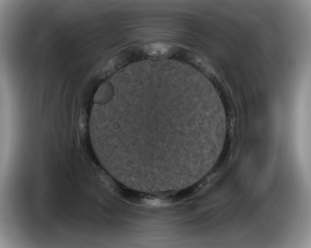 X0000084050561200703092055