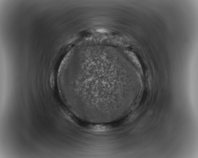 X0000084050562200703092055