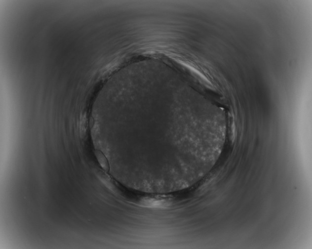 X0000084050563200703092055