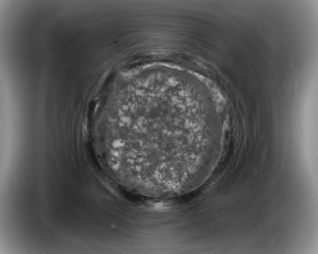 X0000084050564200703092055