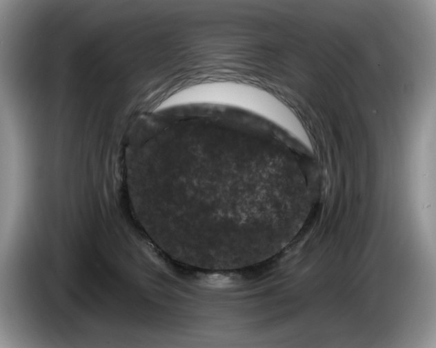 X0000084050566200703092055