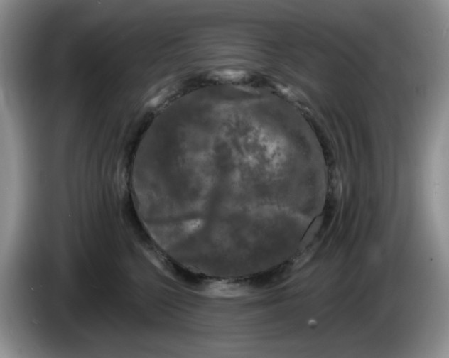 X0000084050568200703092055