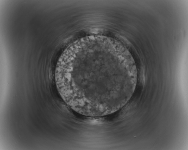 X0000084050569200703092055