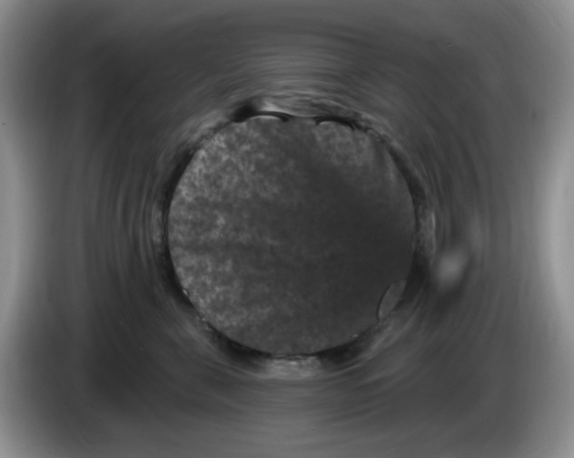 X0000084050571200703092055