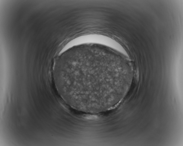 X0000084050572200703092055