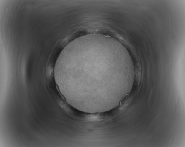 X0000084050574200703092055