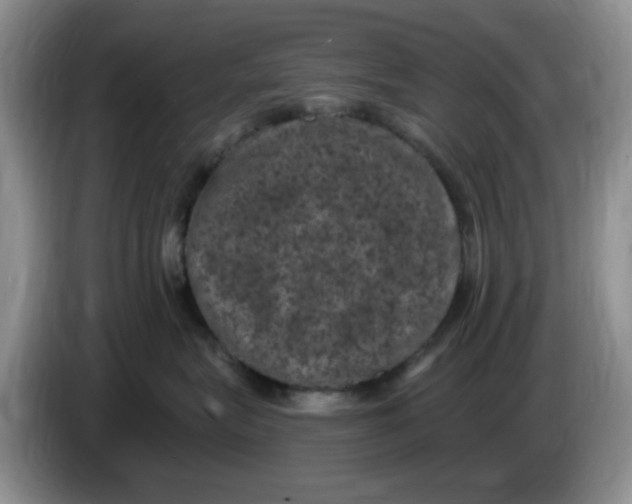 X0000084050575200703092055