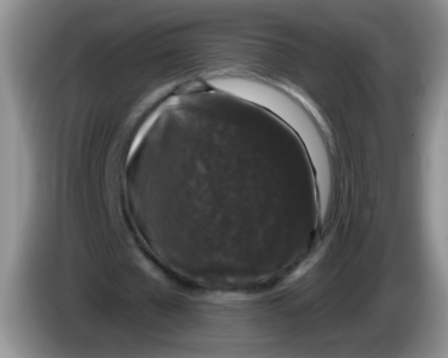 X0000084050577200703092054