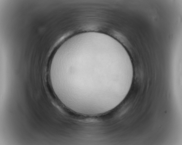 X0000084050578200703092054