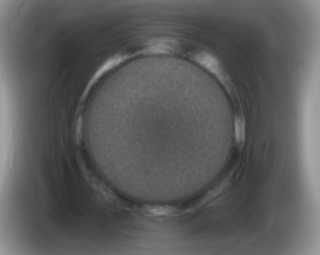 X0000084050579200703092054