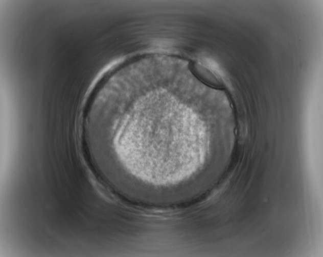 X0000084050580200703092054