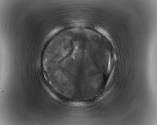 X0000084050581200703092054