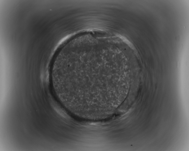 X0000084050584200703092054