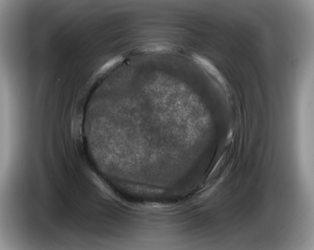 X0000084050585200703092054