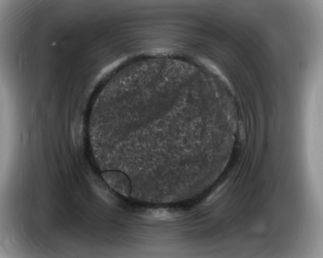 X0000084050588200703092054