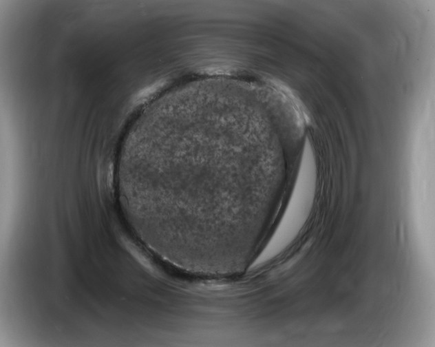 X0000084050589200703092054