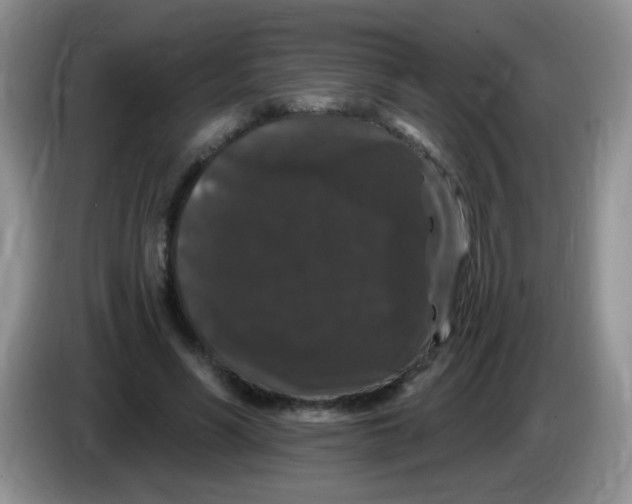 X0000084050590200703092054