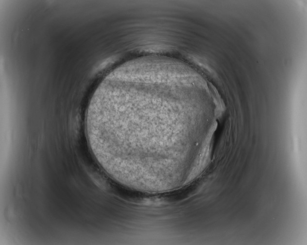 X0000084050591200703092054