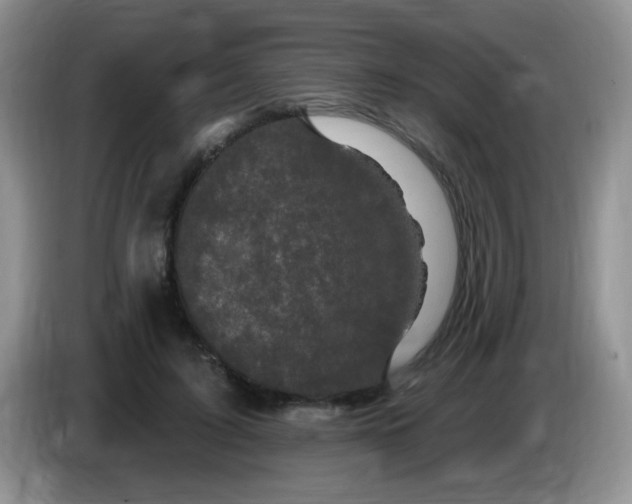 X0000084050595200703092054