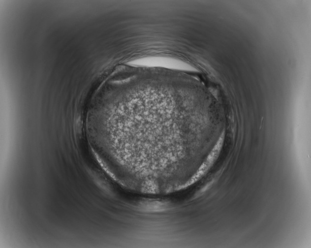 X0000084050597200703092054