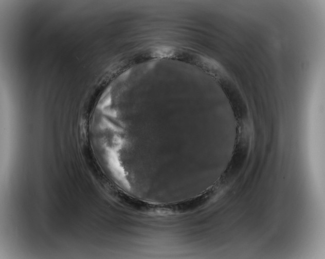 X0000084050598200703092054