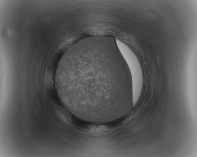 X0000084050599200703092054