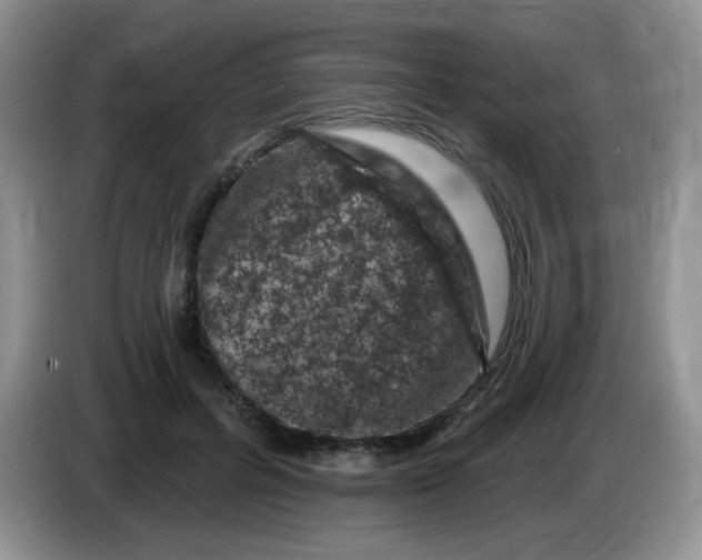 X0000084050600200703092054