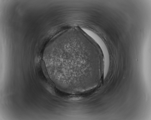 X0000084050601200703092054