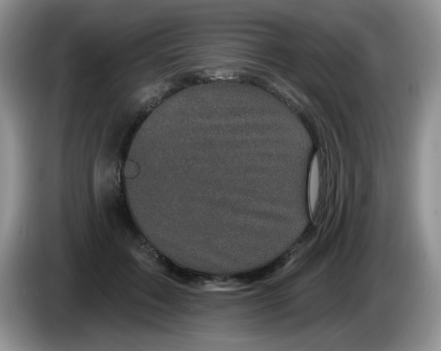 X0000084050603200703092054