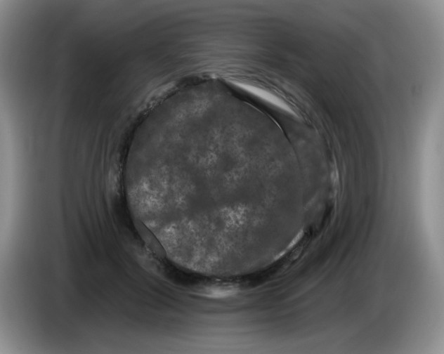 X0000084050604200703092054