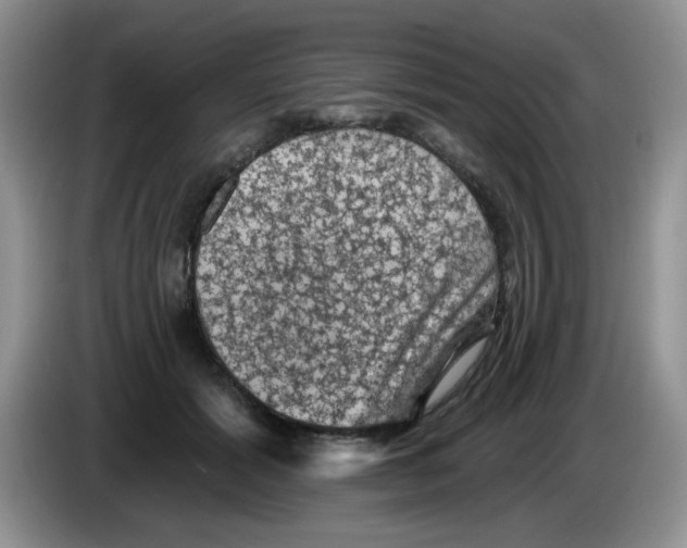 X0000084050605200703092054