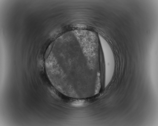 X0000084050609200703092054