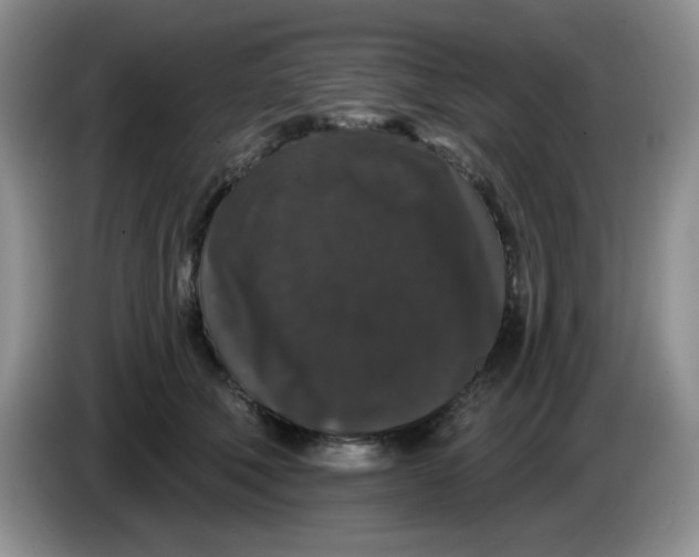 X0000084050610200703092054