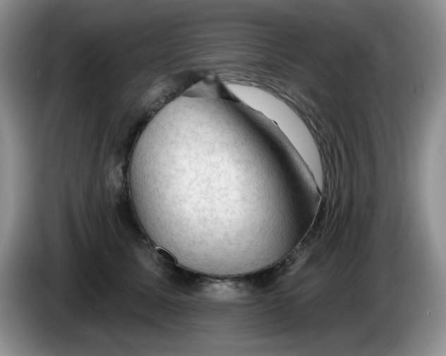 X0000084050611200703092054