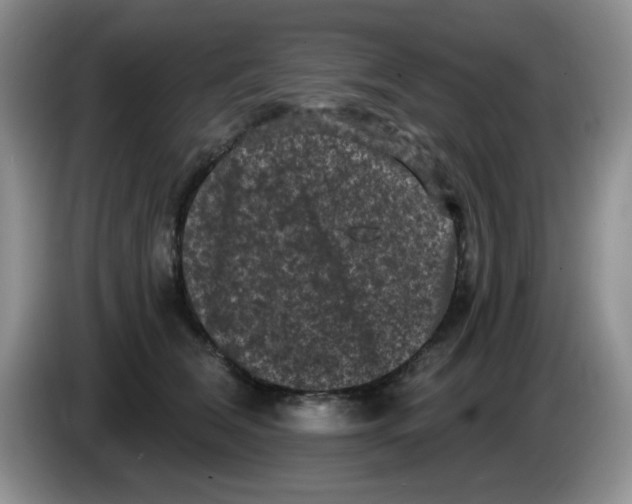 X0000084050612200703092054