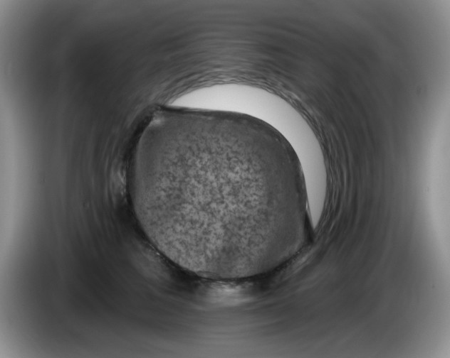 X0000084050613200703092054