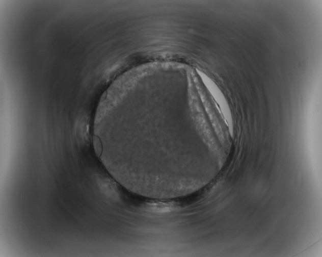 X0000084050615200703092054