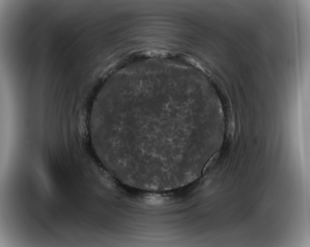 X0000084050616200703092054